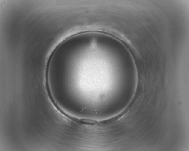 X0000071811512200607072104