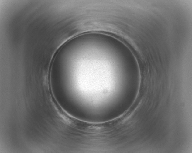 X0000071811513200607072104