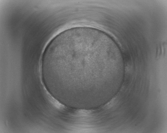 X0000071811514200607072104