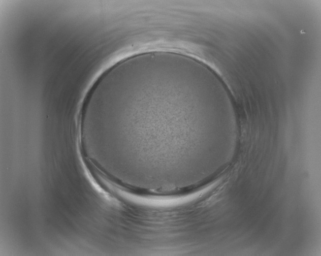 X0000071811515200607072104