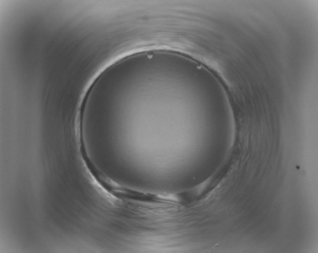 X0000071811516200607072104