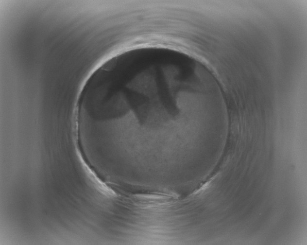 X0000071811522200607072104