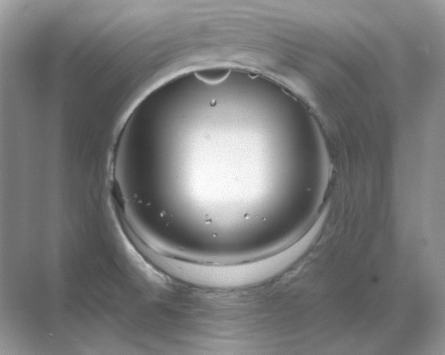 X0000071811524200607072104