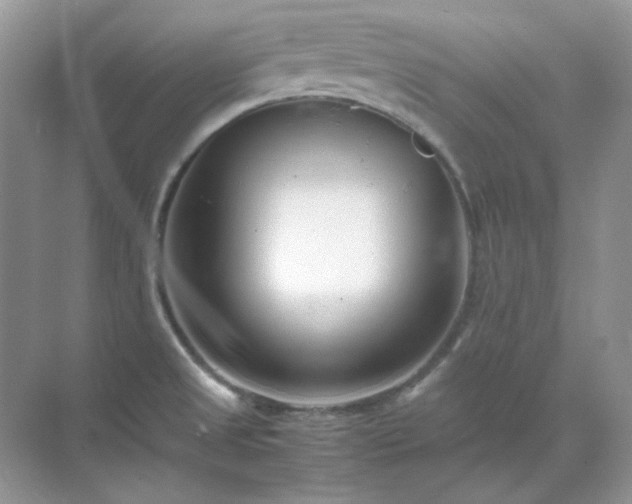 X0000071811525200607072104