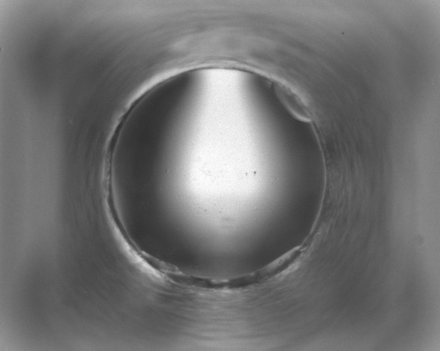 X0000071811526200607072104