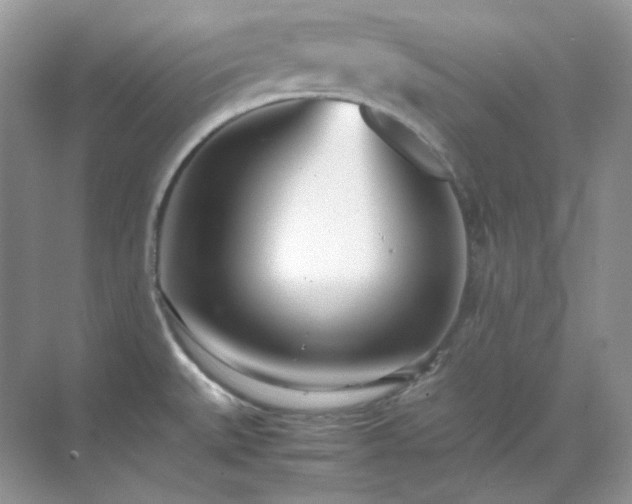 X0000071811527200607072104