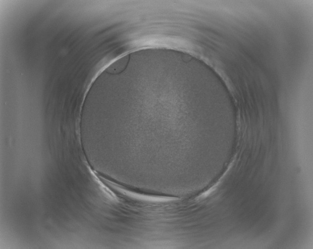 X0000071811529200607072104