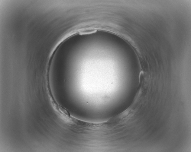 X0000071811530200607072104