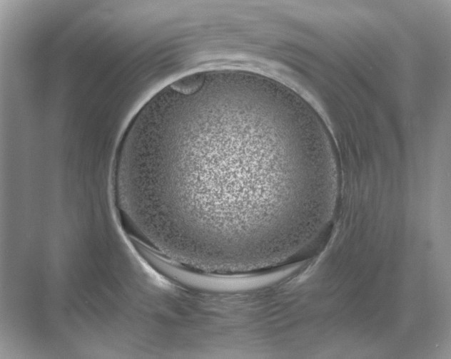 X0000071811533200607072104