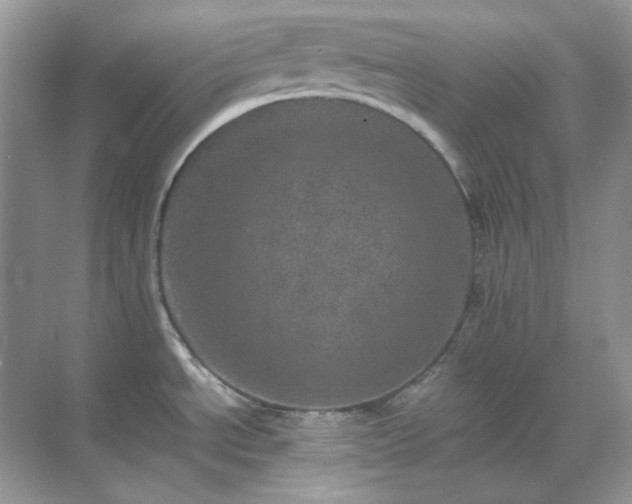 X0000071811534200607072104