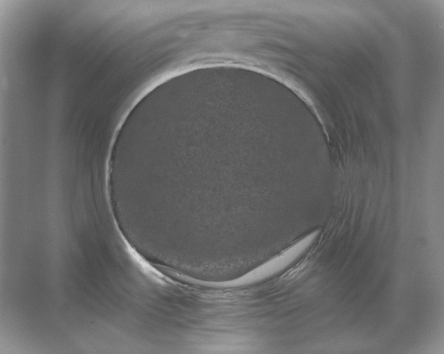 X0000071811535200607072104