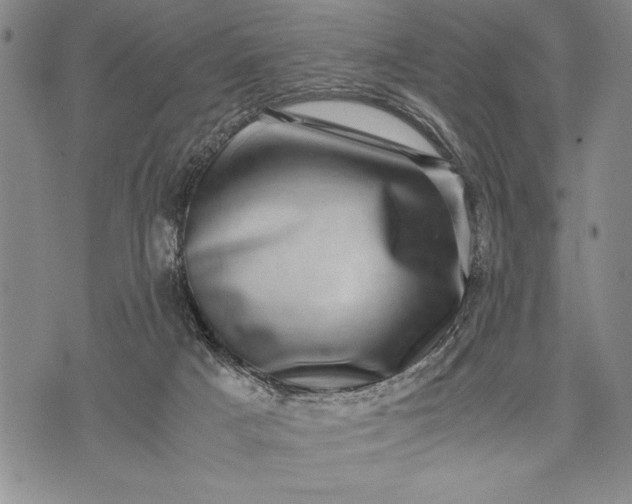 X0000071810025200607141621