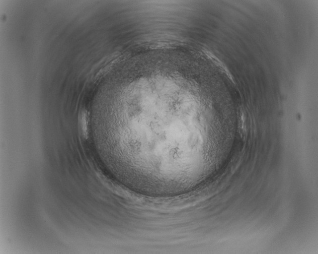 X0000071810026200607141621