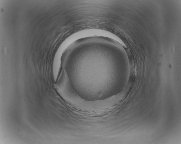 X0000071810035200607141621