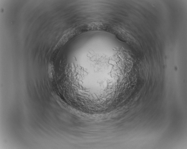 X0000071810038200607141621