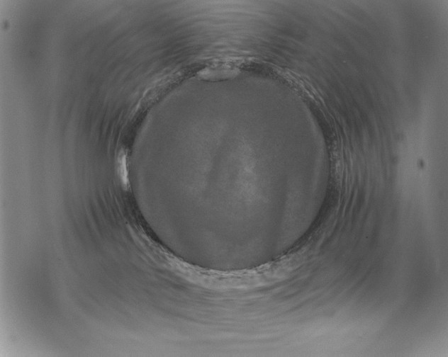 X0000071810042200607141621