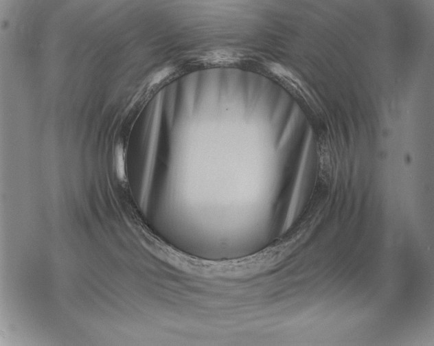 X0000071810046200607141621