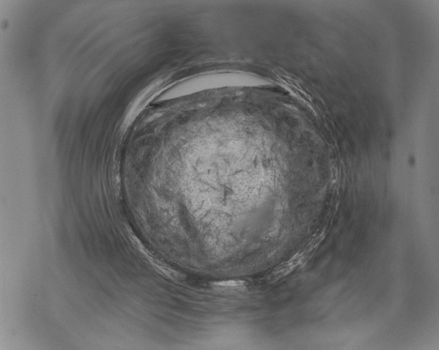 X0000071810053200607141620