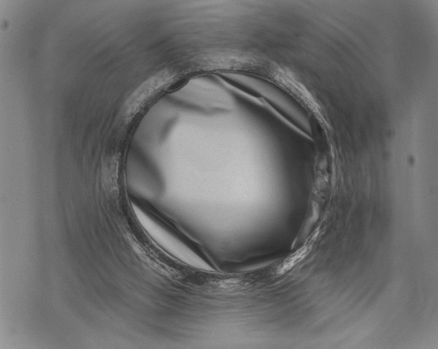 X0000071810058200607141620