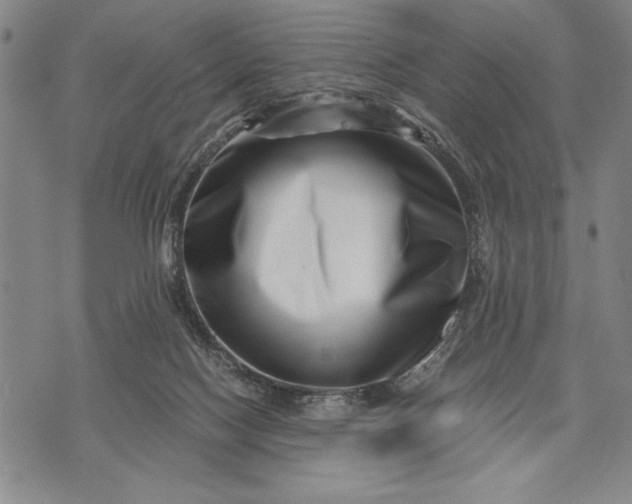 X0000071810074200607141621