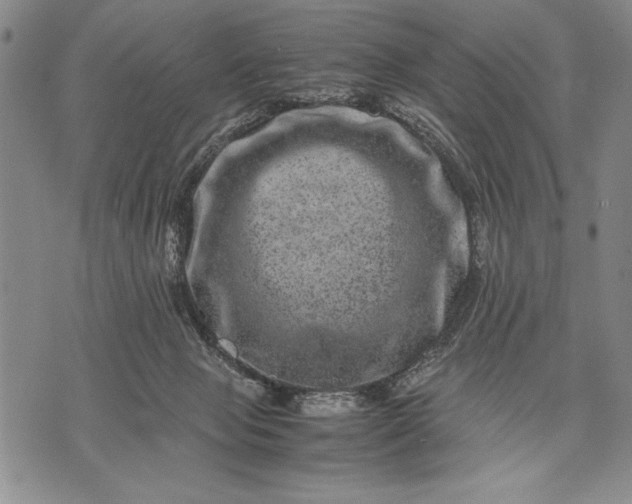 X0000071810077200607141621