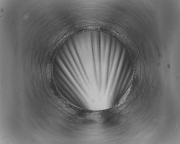 X0000071810078200607141621