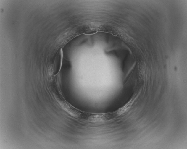 X0000071810082200607141621