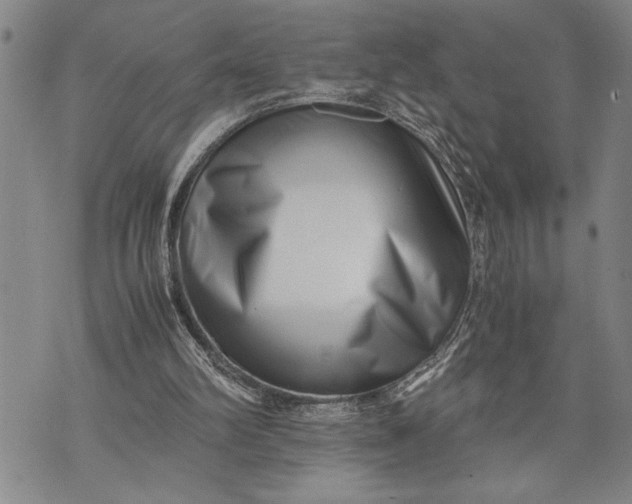X0000071810102200607141620