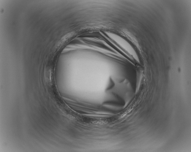 X0000071810115200607141620