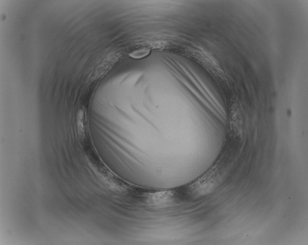 X0000071810122200607141620