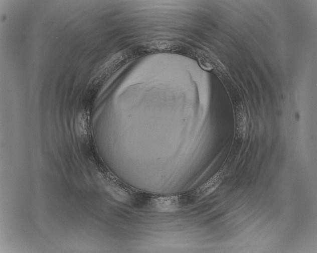X0000071810126200607141620