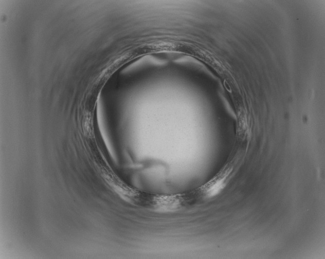 X0000071810141200607141620