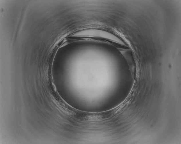 X0000071810154200607141619