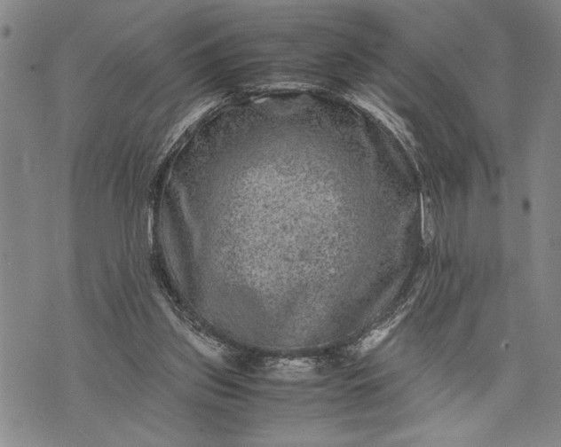X0000071810157200607141619