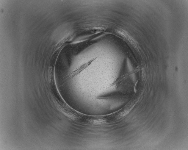 X0000071810165200607141619