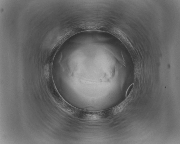 X0000071810167200607141619