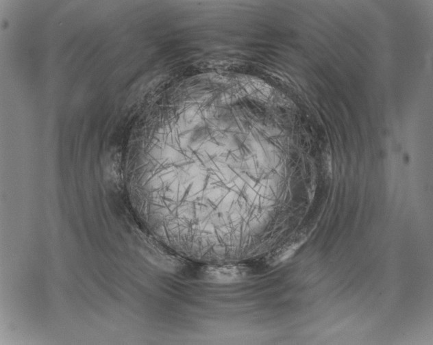 X0000071810181200607141619