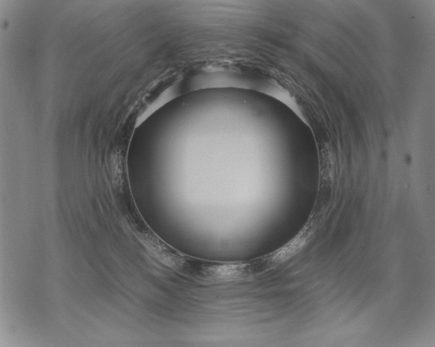 X0000071810184200607141619