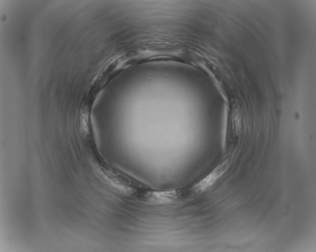 X0000071810188200607141619