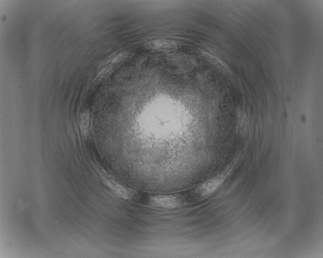 X0000071810189200607141619