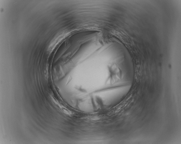 X0000071810194200607141619