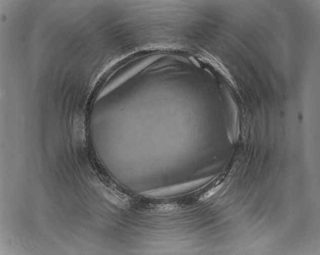 X0000071810204200607141619