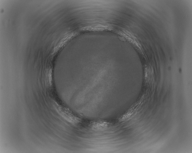 X0000071810206200607141618