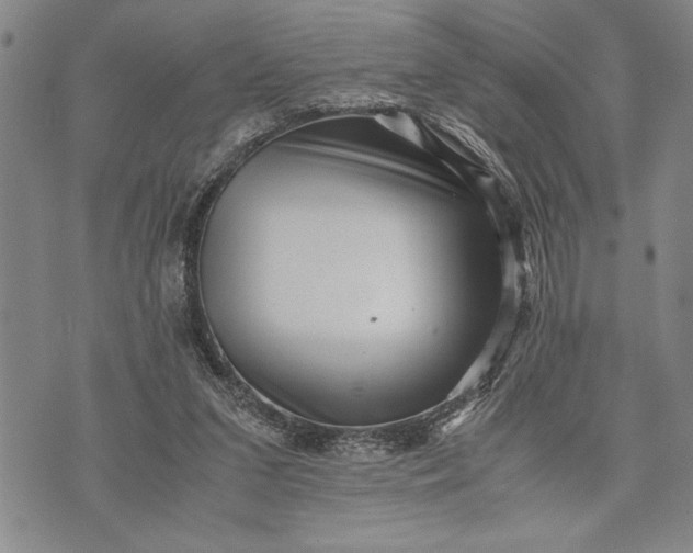 X0000071810207200607141618