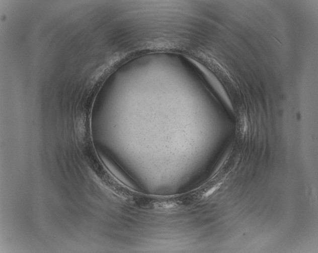 X0000071810208200607141618