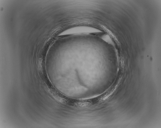 X0000071810209200607141618