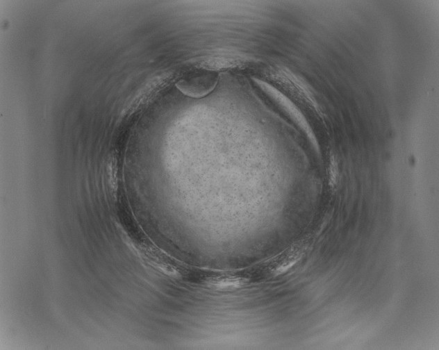 X0000071810210200607141618