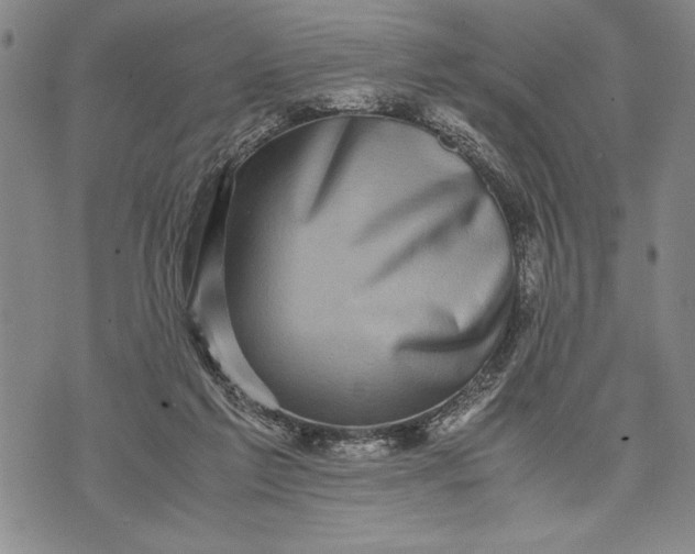 X0000071810213200607141618