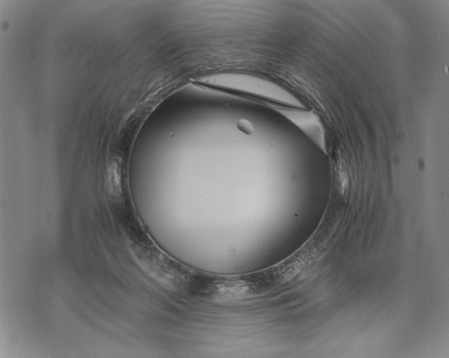 X0000071810214200607141618