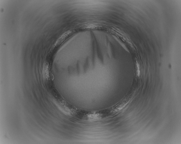 X0000071810216200607141618